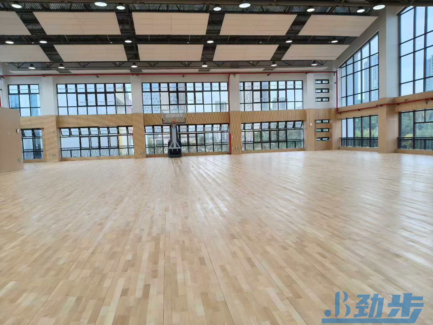 体育馆翻新需要多少钱